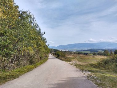 Ormanda sihirli ağaçlar ve yollar. Slovakya