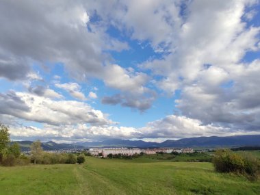 Ormanda sihirli ağaçlar ve yollar. Slovakya