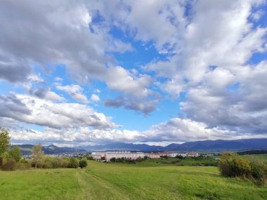 Ormanda sihirli ağaçlar ve yollar. Slovakya