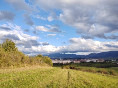 Ormanda sihirli ağaçlar ve yollar. Slovakya