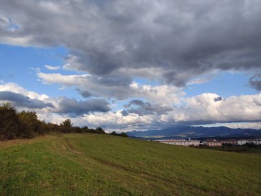 Ormanda sihirli ağaçlar ve yollar. Slovakya