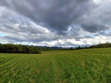 Ormanda sihirli ağaçlar ve yollar. Slovakya