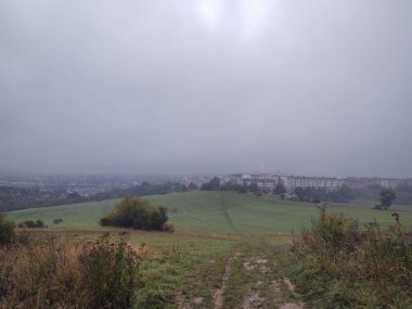 Ormanda sihirli ağaçlar ve yollar. Slovakya