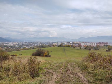 Ormanda sihirli ağaçlar ve yollar. Slovakya