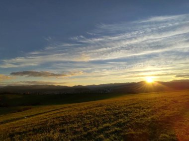 Ormanda sihirli ağaçlar ve yollar. Slovakya