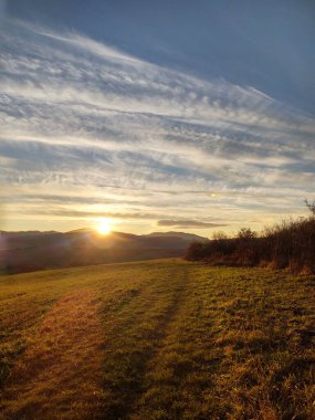 Ormanda sihirli ağaçlar ve yollar. Slovakya