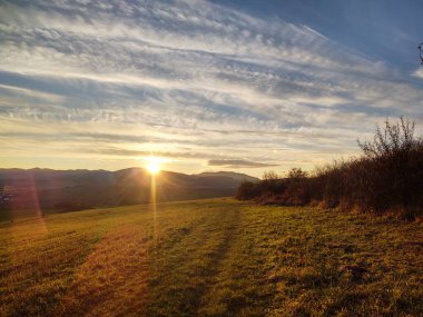 Ormanda sihirli ağaçlar ve yollar. Slovakya