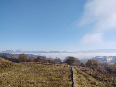 Ormanda sihirli ağaçlar ve yollar. Slovakya