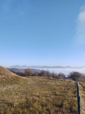 Ormanda sihirli ağaçlar ve yollar. Slovakya