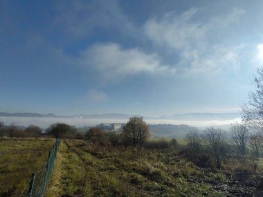 Ormanda sihirli ağaçlar ve yollar. Slovakya