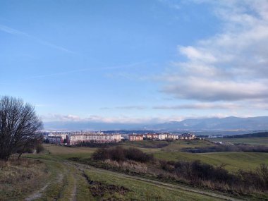 Ormanda sihirli ağaçlar ve yollar. Slovakya