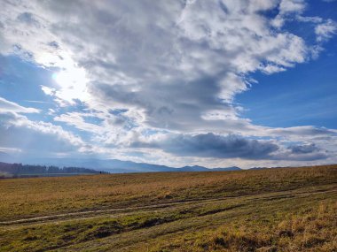 Ormanda sihirli ağaçlar ve yollar. Slovakya