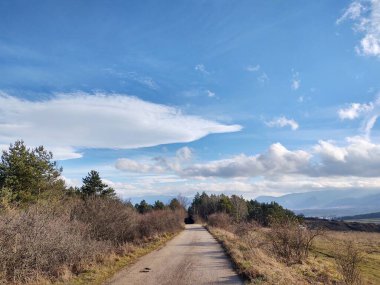 Ormanda sihirli ağaçlar ve yollar. Slovakya
