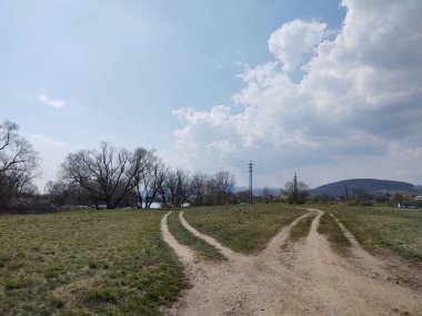 Ormanda sihirli ağaçlar ve yollar. Slovakya