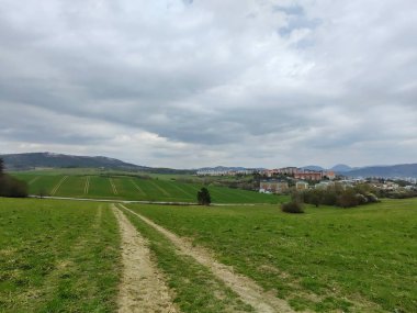 Ormanda sihirli ağaçlar ve yollar. Slovakya