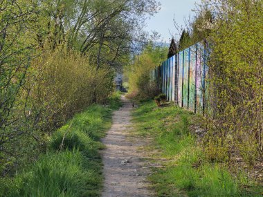 Ormanda sihirli ağaçlar ve yollar. Slovakya