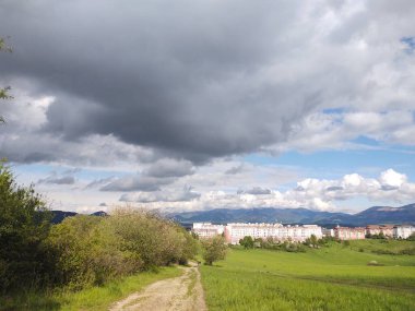 Ormanda sihirli ağaçlar ve yollar. Slovakya