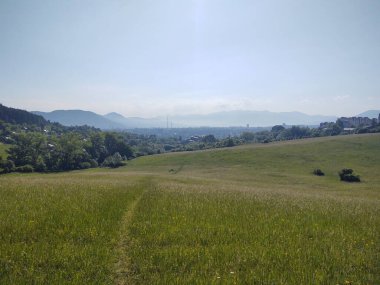 Ormanda sihirli ağaçlar ve yollar. Slovakya