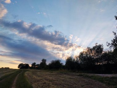 Ormanda sihirli ağaçlar ve yollar. Slovakya