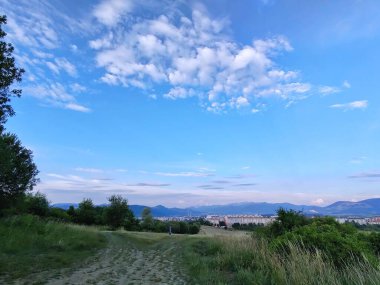 Ormanda sihirli ağaçlar ve yollar. Slovakya