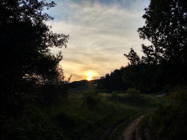 Ormanda sihirli ağaçlar ve yollar. Slovakya