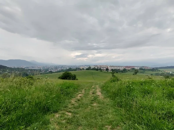 Arbres Magiques Sentiers Dans Forêt Slovaquie — Photo