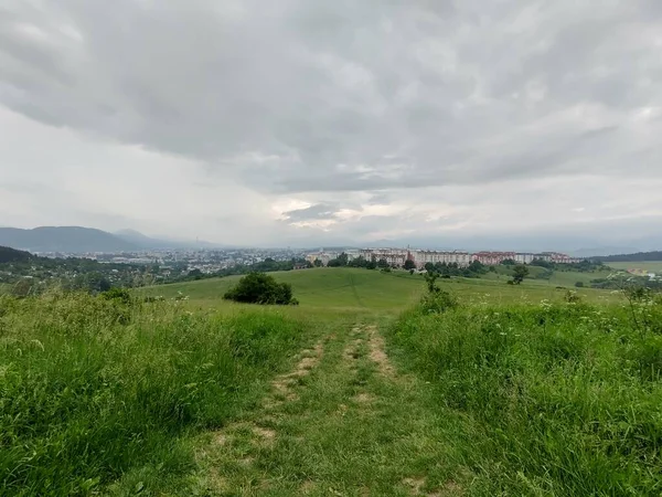 Ormanda sihirli ağaçlar ve yollar. Slovakya