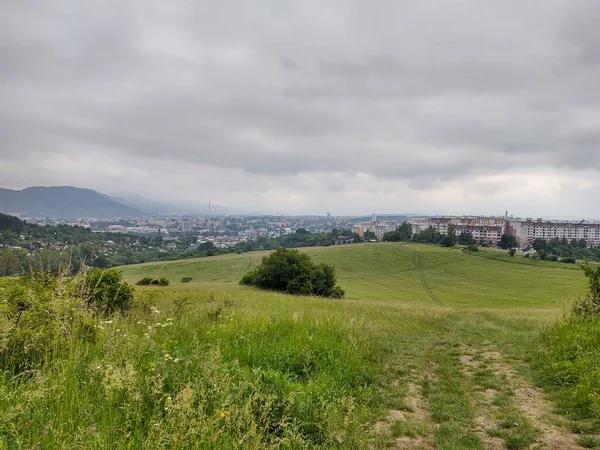 Ormanda sihirli ağaçlar ve yollar. Slovakya