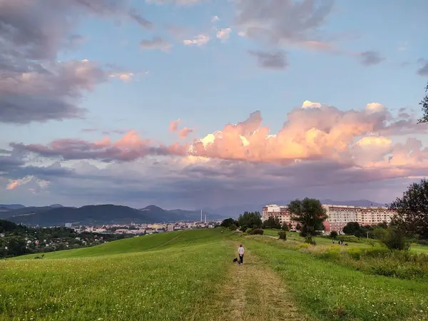 Ormanda sihirli ağaçlar ve yollar. Slovakya