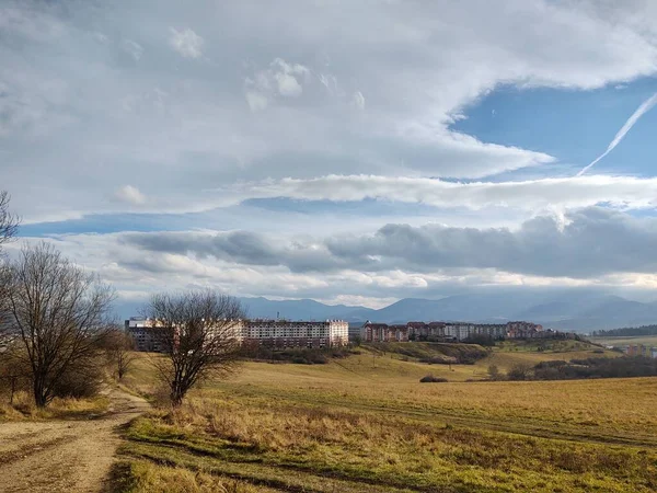 Ormanda sihirli ağaçlar ve yollar. Slovakya