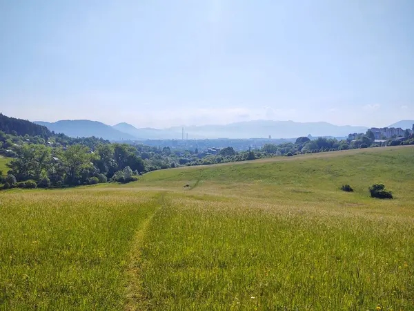 Ormanda sihirli ağaçlar ve yollar. Slovakya