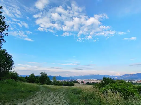 Ormanda sihirli ağaçlar ve yollar. Slovakya
