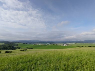 Çayırdaki ya da bahçedeki yeşil taze çimenler ve doğa. Slovakya