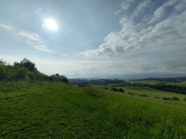 Çayırdaki ya da bahçedeki yeşil taze çimenler ve doğa. Slovakya