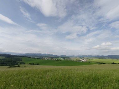 Çayırdaki ya da bahçedeki yeşil taze çimenler ve doğa. Slovakya