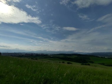 Çayırdaki ya da bahçedeki yeşil taze çimenler ve doğa. Slovakya