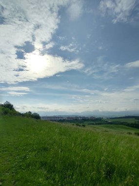 Çayırdaki ya da bahçedeki yeşil taze çimenler ve doğa. Slovakya