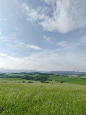 Çayırdaki ya da bahçedeki yeşil taze çimenler ve doğa. Slovakya