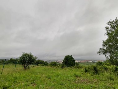 Çayırdaki ya da bahçedeki yeşil taze çimenler ve doğa. Slovakya