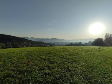 Çayırdaki ya da bahçedeki yeşil taze çimenler ve doğa. Slovakya