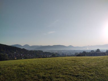 Çayırdaki ya da bahçedeki yeşil taze çimenler ve doğa. Slovakya