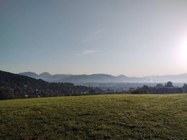 Çayırdaki ya da bahçedeki yeşil taze çimenler ve doğa. Slovakya