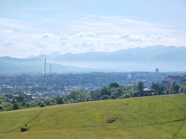 Çayırdaki ya da bahçedeki yeşil taze çimenler ve doğa. Slovakya
