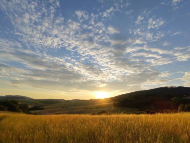 Güneşin doğuşunda ya da doğada günbatımında güzel otlar. Slovakya