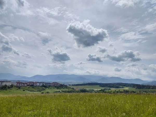 Verde Erba Fresca Sul Prato Giardino Nella Natura Slovacchia — Foto Stock