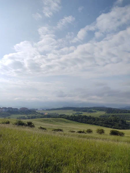 Зелена Свіжа Трава Лузі Або Саду Природі Словаччина — стокове фото