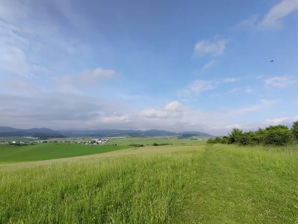 牧草地や庭や自然の中で緑の新鮮な草 スロバキア — ストック写真