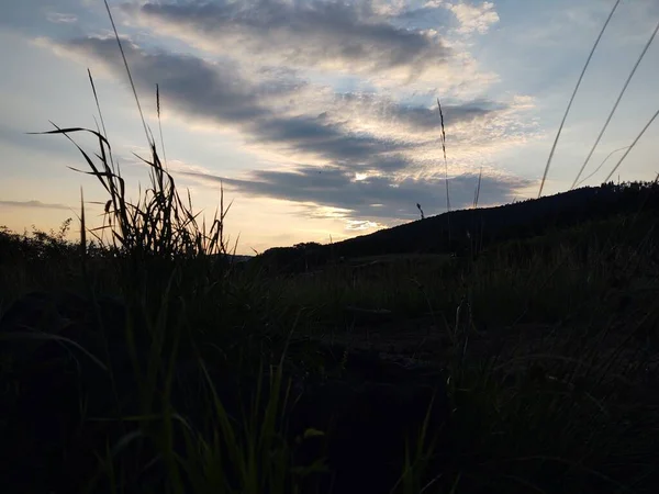 Schöne Dekoration Gras Bei Sonnenaufgang Oder Sonnenuntergang Der Natur Slowakei — Stockfoto