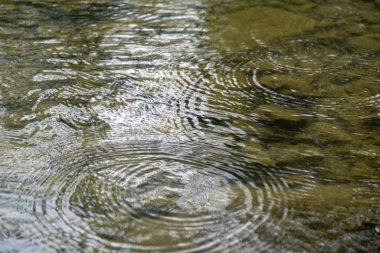 Nehir, göl ya da vahşi doğada akan dere. Slovakya