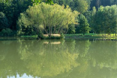 Nehir, göl ya da vahşi doğada akan dere. Slovakya